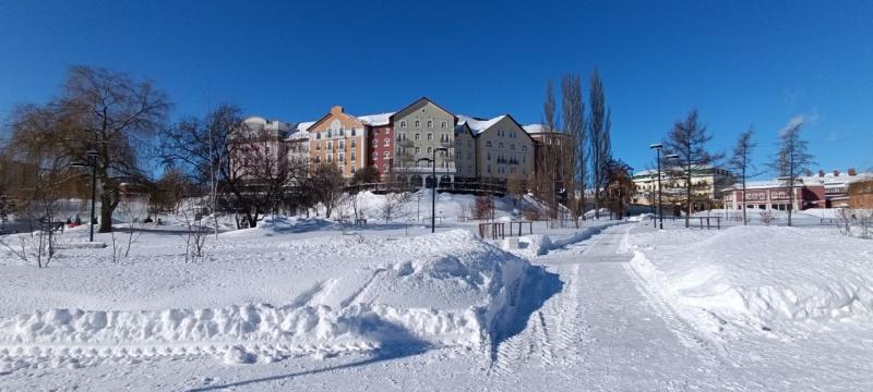 Рязанцев ждёт мягкая и немного снежная декада